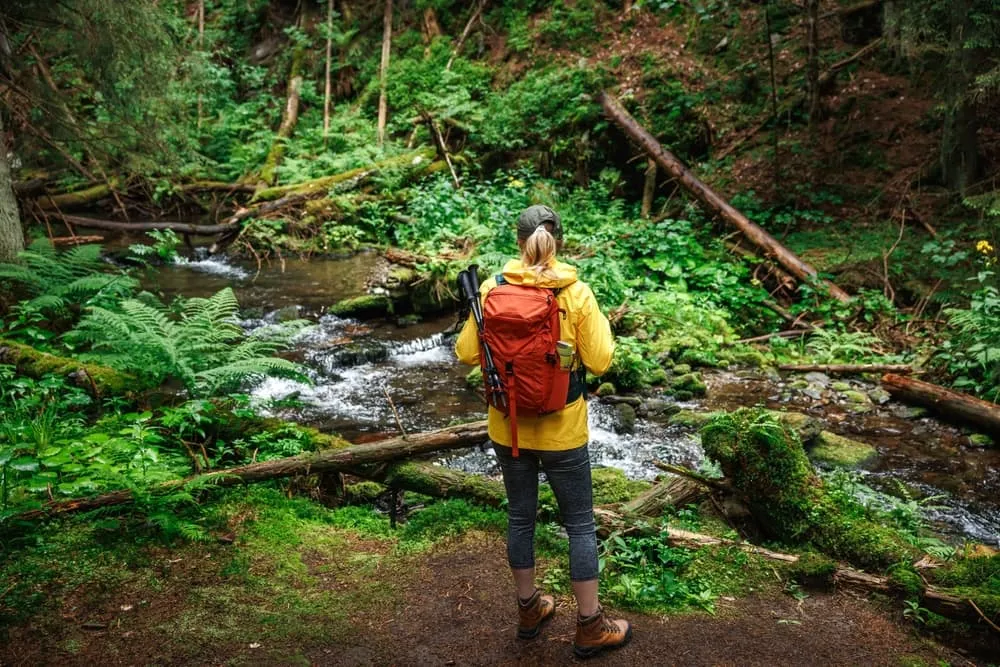 Gendarmstien Expresso Trek 1