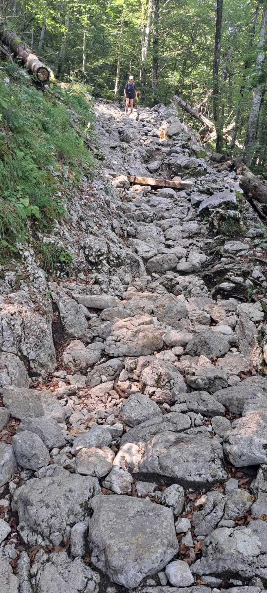 Scalata del Monte Tricorno (Autoguidata) 10