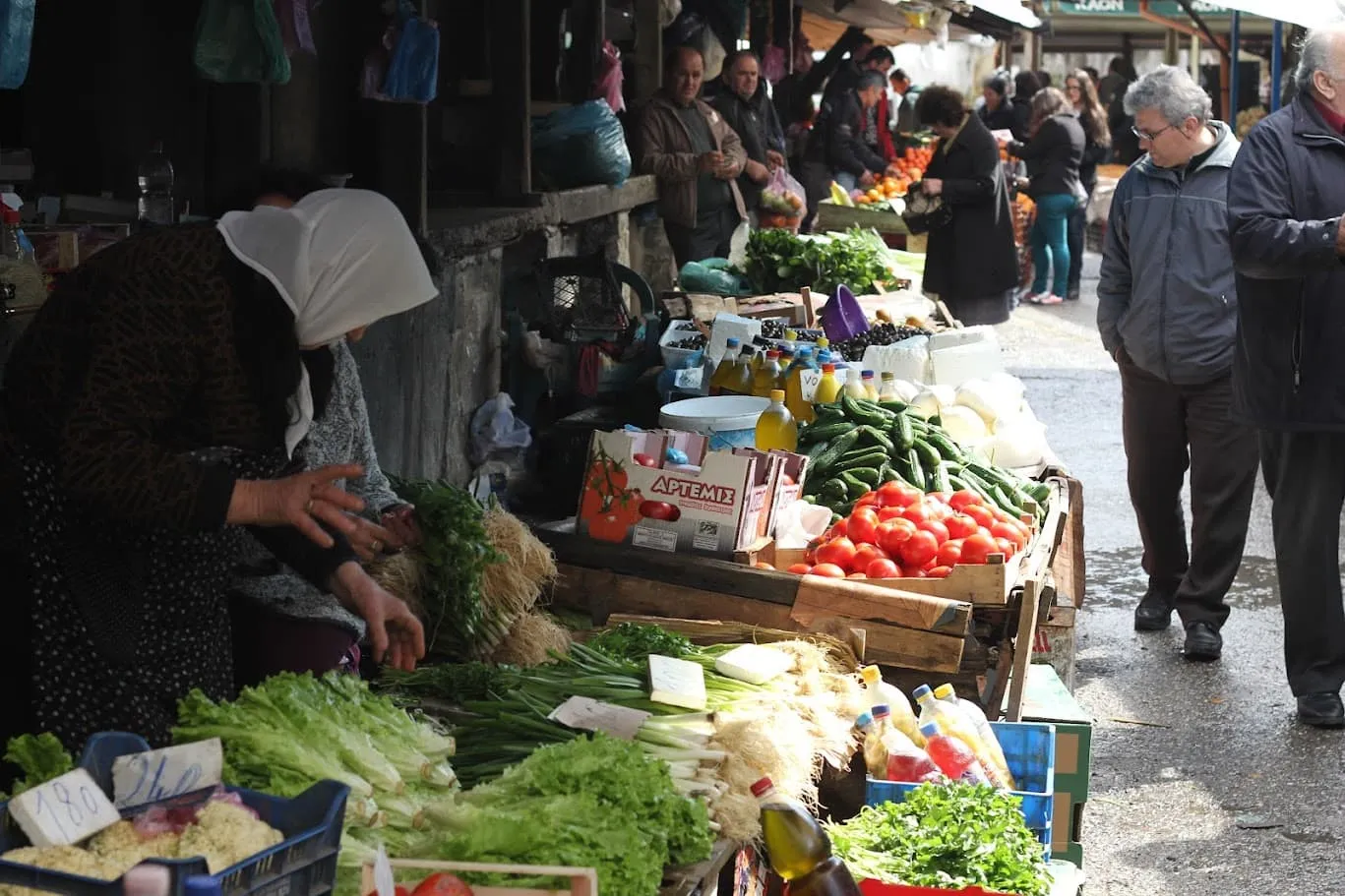 Esploratore delle Alpi Albanesi 1