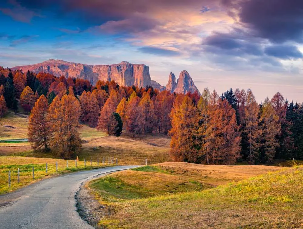 Las estaciones en el sendero