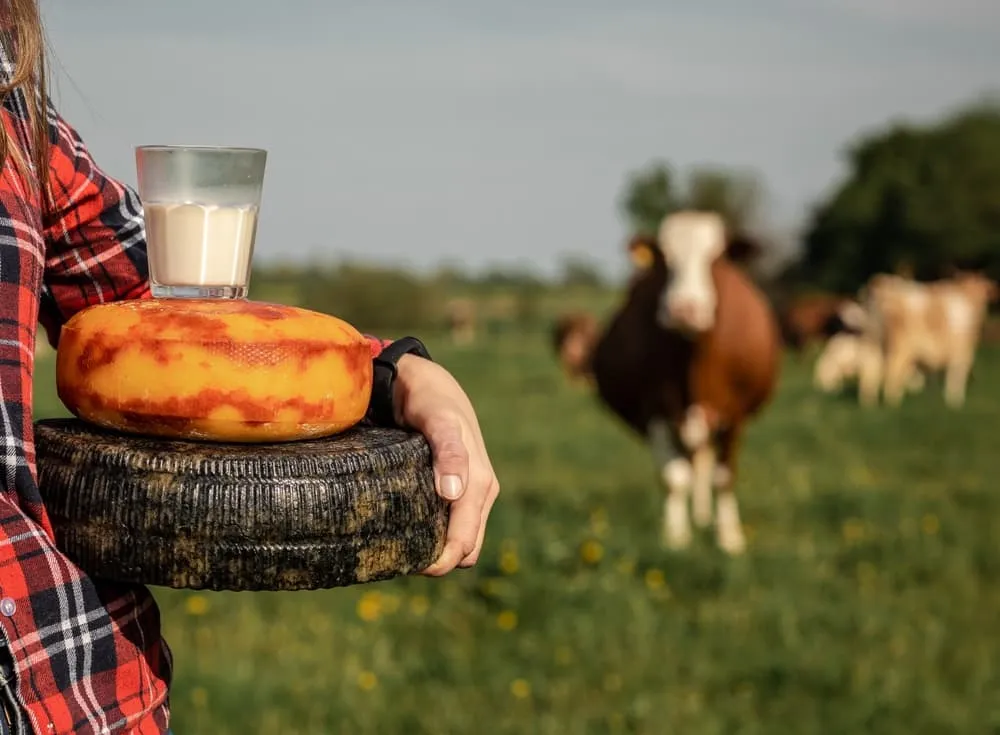 Alpkäse, Butter und lokale Produkte