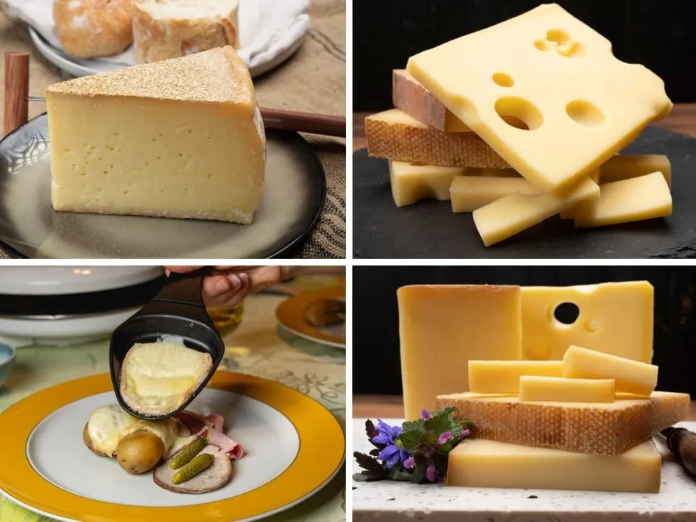 Por que o Queijo Suíço Tem um Sabor Diferente