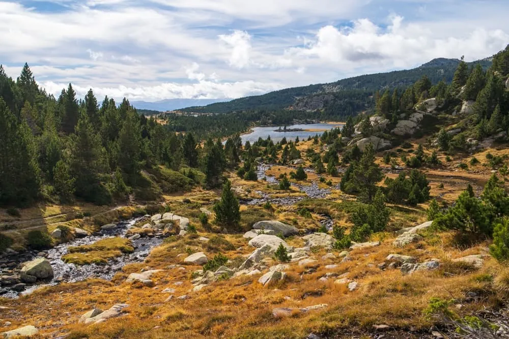 Flora van de Pyreneeën: ecosystemen in lagen