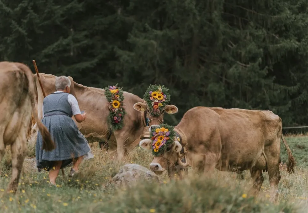 Uma Paisagem Moldada pelo Equilíbrio