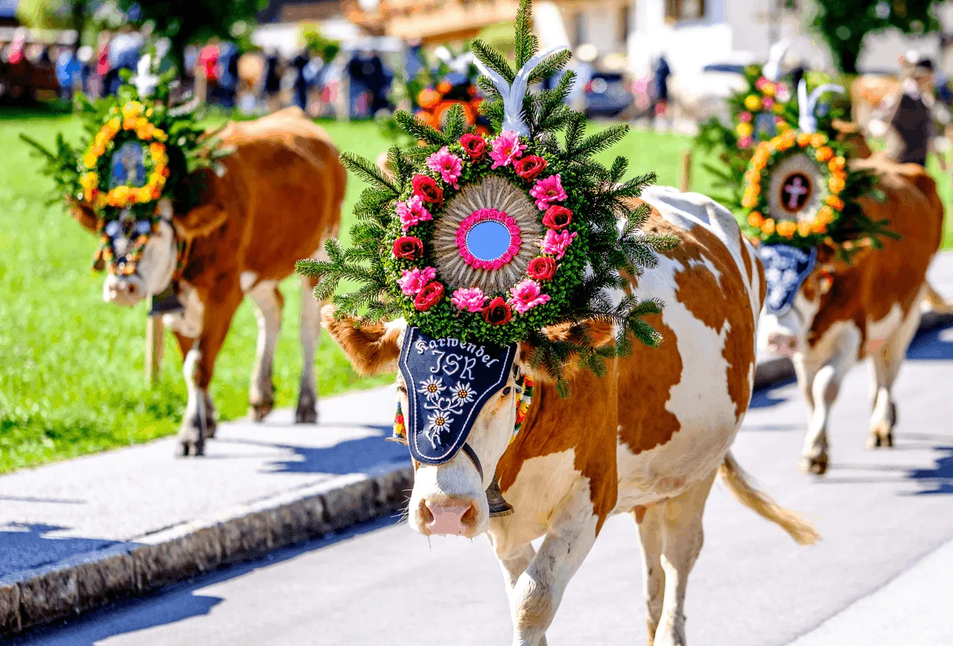 Almabtrieb: The Festival of Returning Cattle
