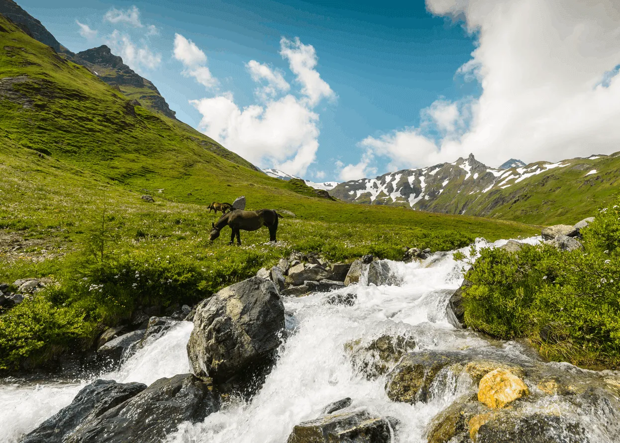 Into the Austrian Alps: Life Above the Treeline