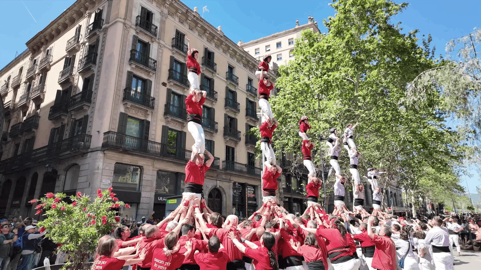 Festivals, die ganze Städte lahmlegen