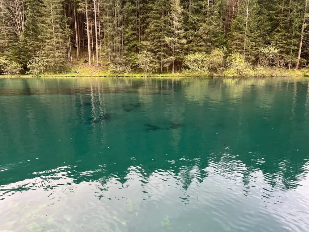 Javorniški Trek Infantil
