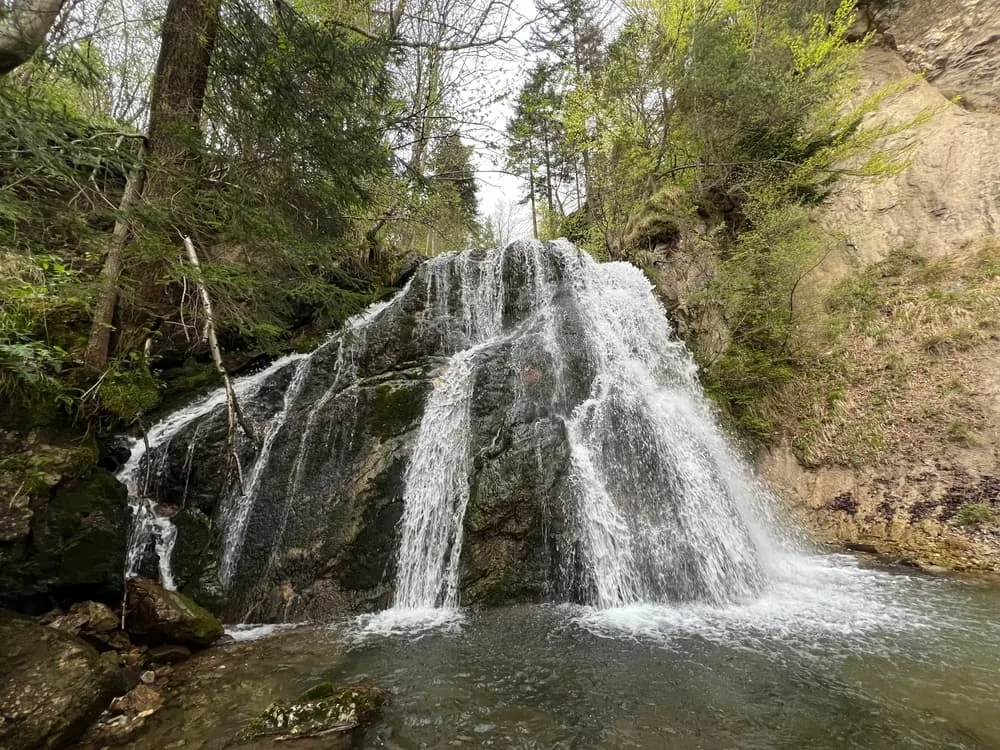 Javorniški Trek Infantil 1