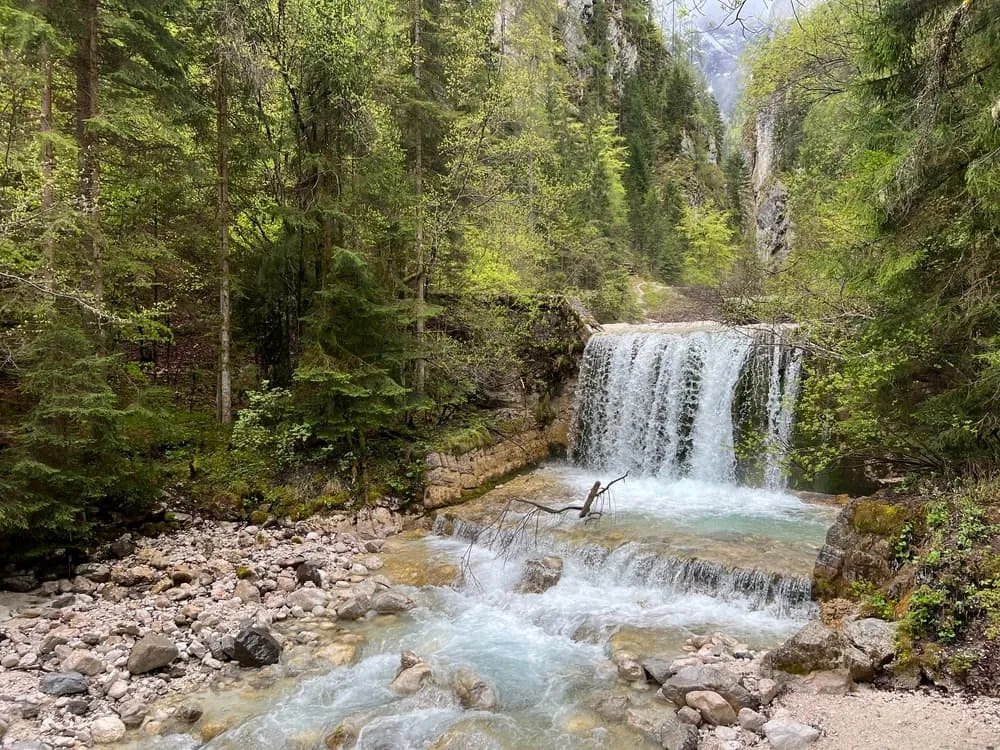 Javorniški Trek Infantil 2