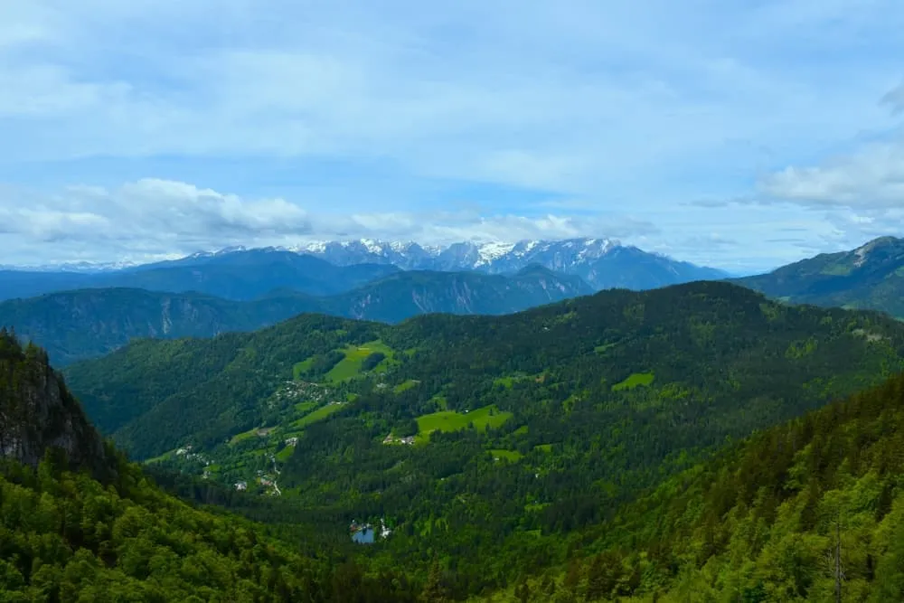 Javorniški Trek Infantil 3