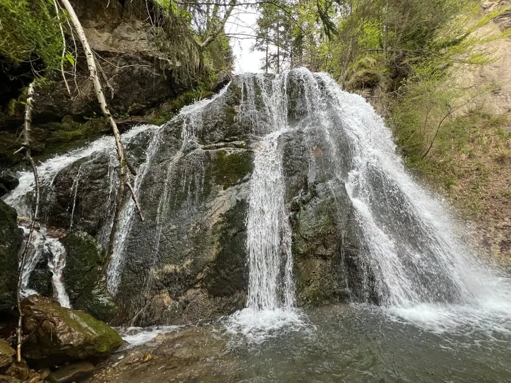 Javorniški Trek Infantil 4