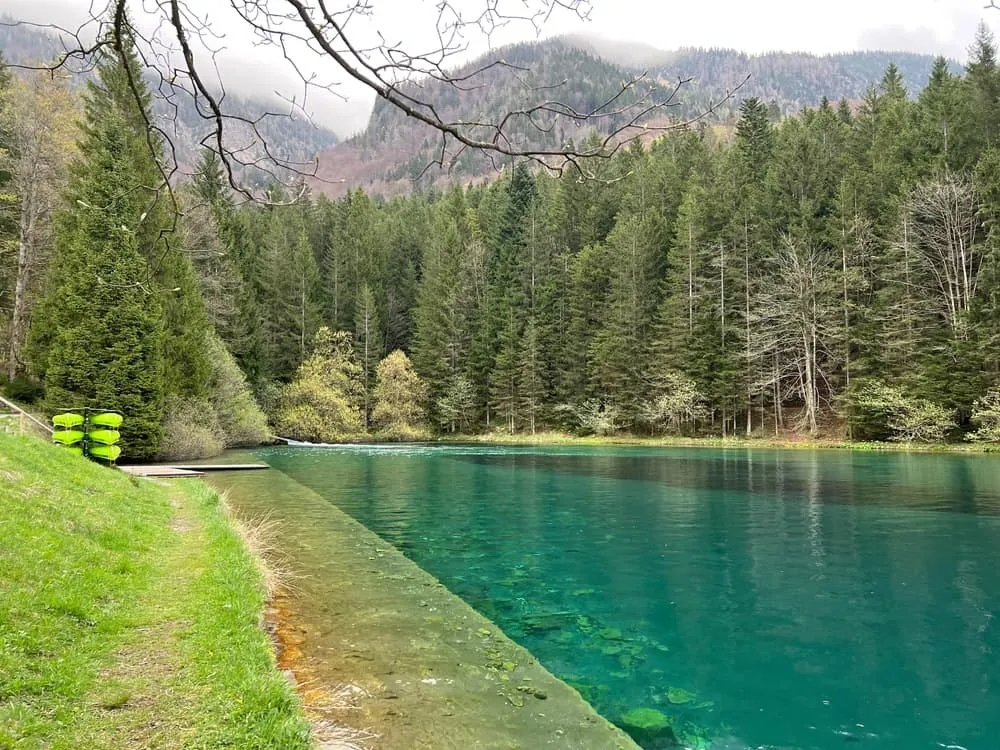 Javorniški Trek Infantil 5