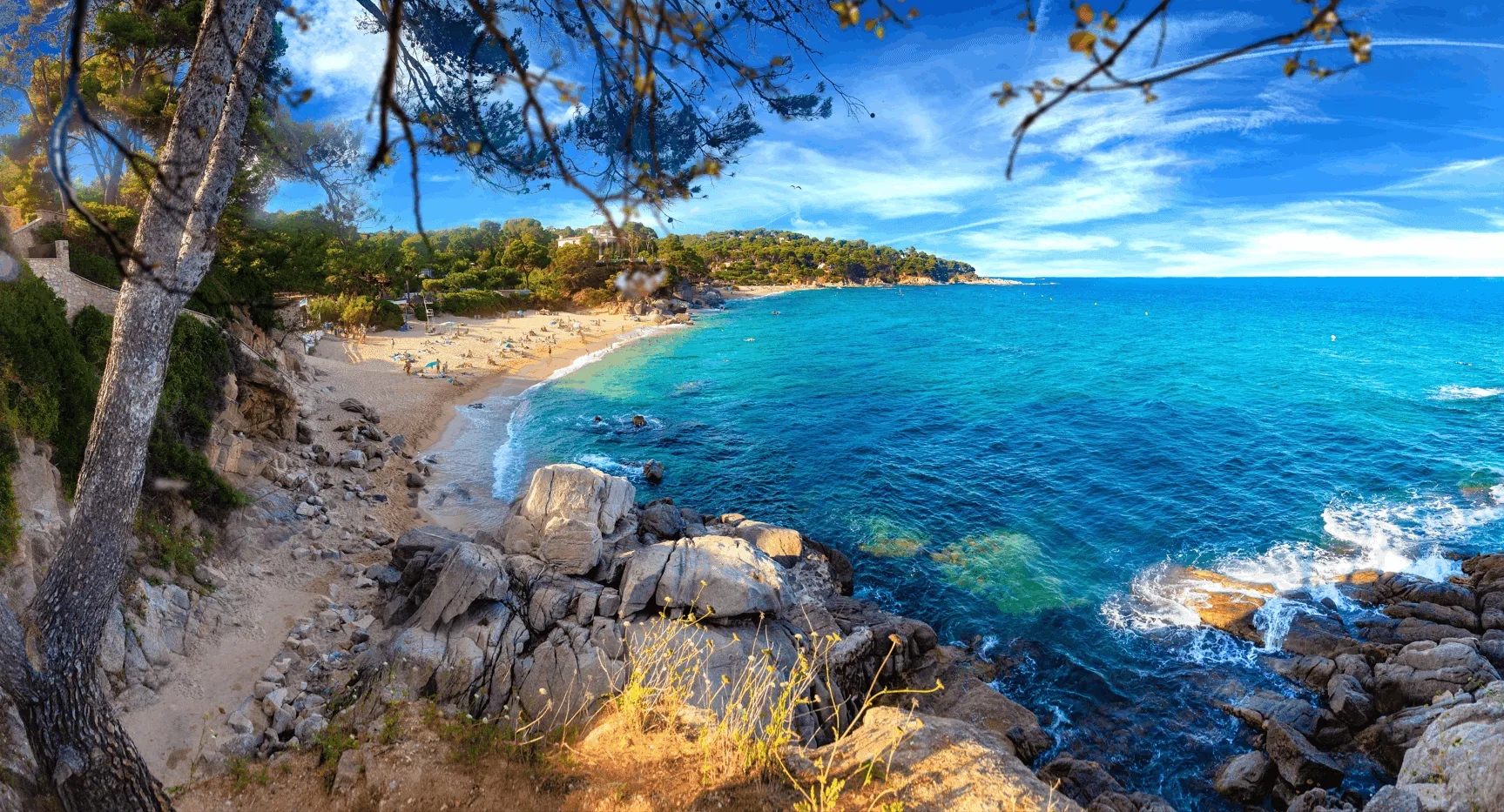 Van Olijfgaarden tot Struikland: Leven in Mediterraan Spanje