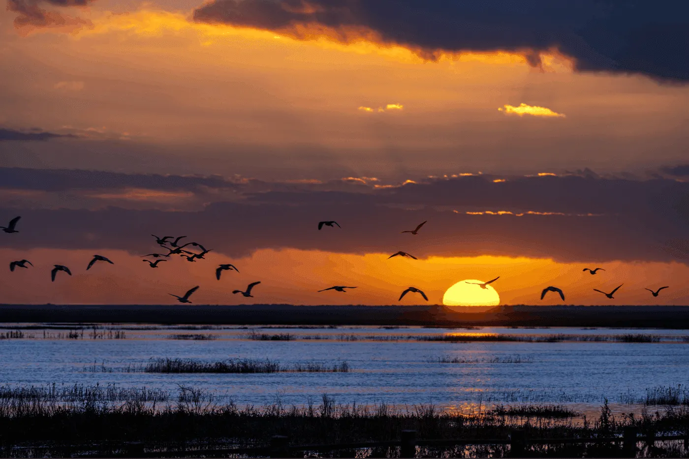 De Wildste Plekken van Spanje: Nationale Parken die je Moet Kennen