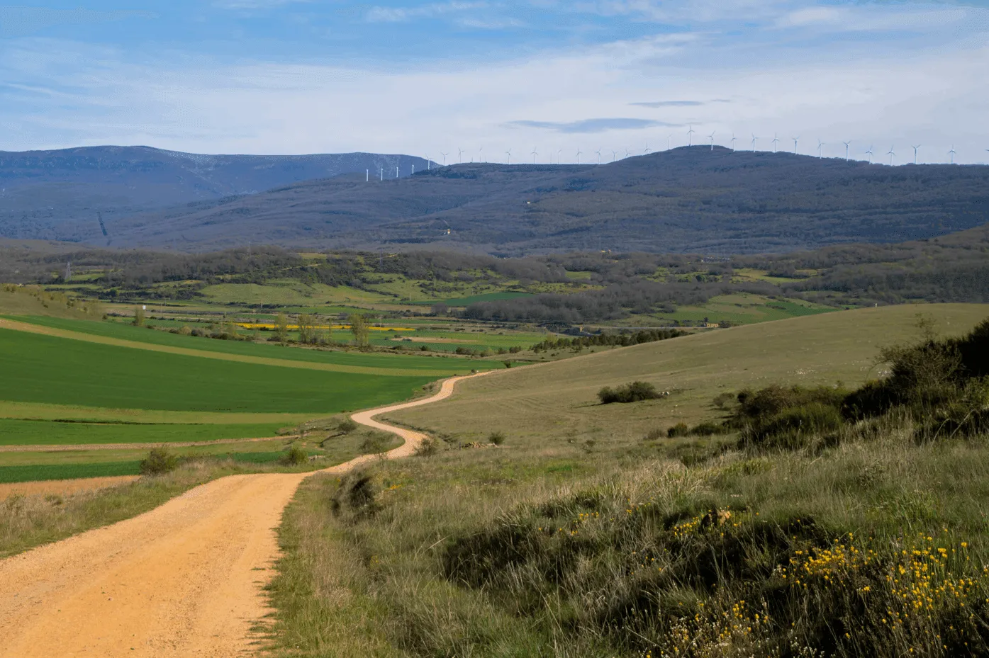 Wildtiere und Natur in Spanien: Von den Bergen bis zum Mittelmeer