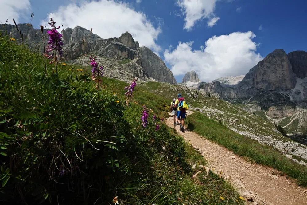 Rota Familiar Rosengarten 6