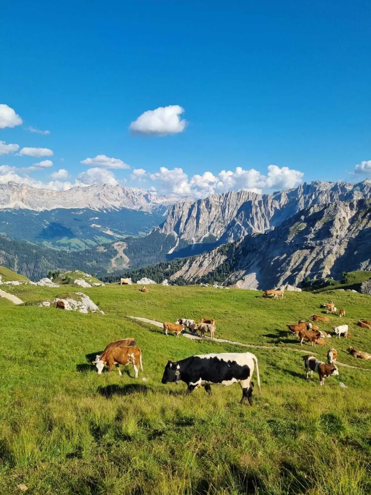 Trekking por lo Mejor de los Dolomitas 6