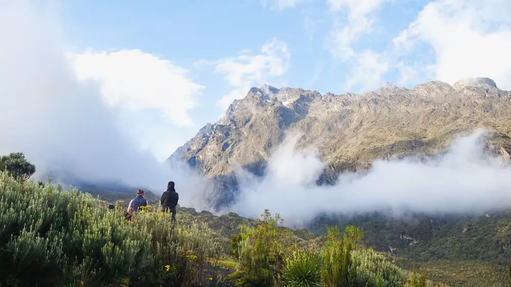 Rwenzori Mountains trekking 13334