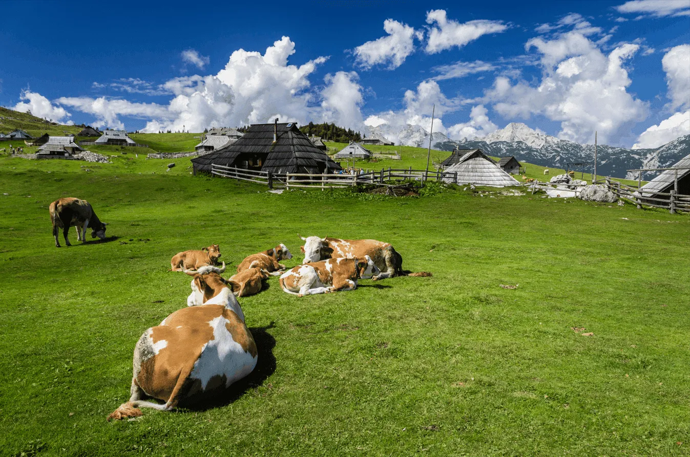 Experiencia de Velika Planina para peques 2