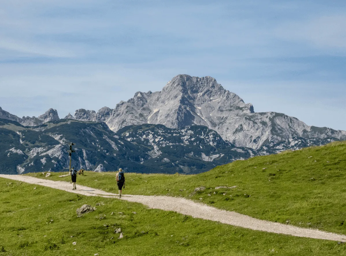 Experiencia de Velika Planina para peques 5