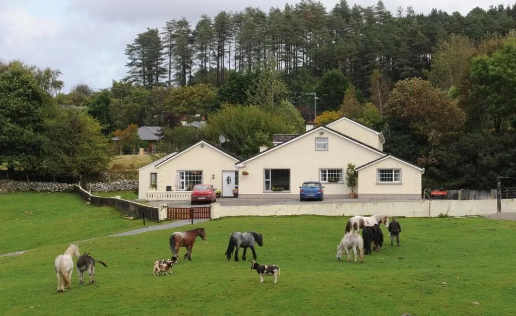 Muckross Riding Stables (Muckross)