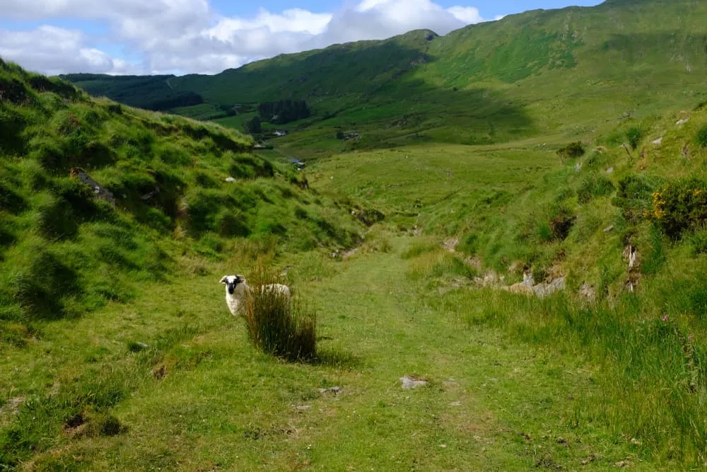Mírná Kerry Way 6