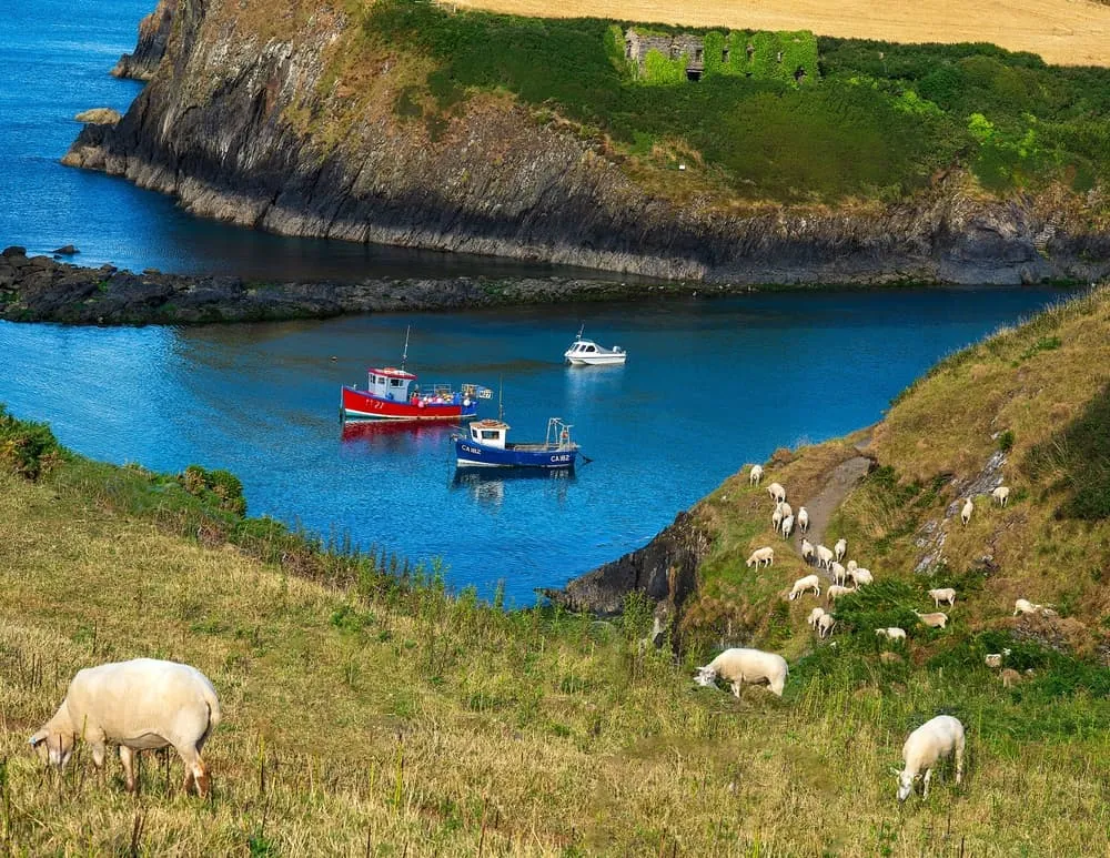Het Pembrokeshire Coast Path – Ontspannen 2