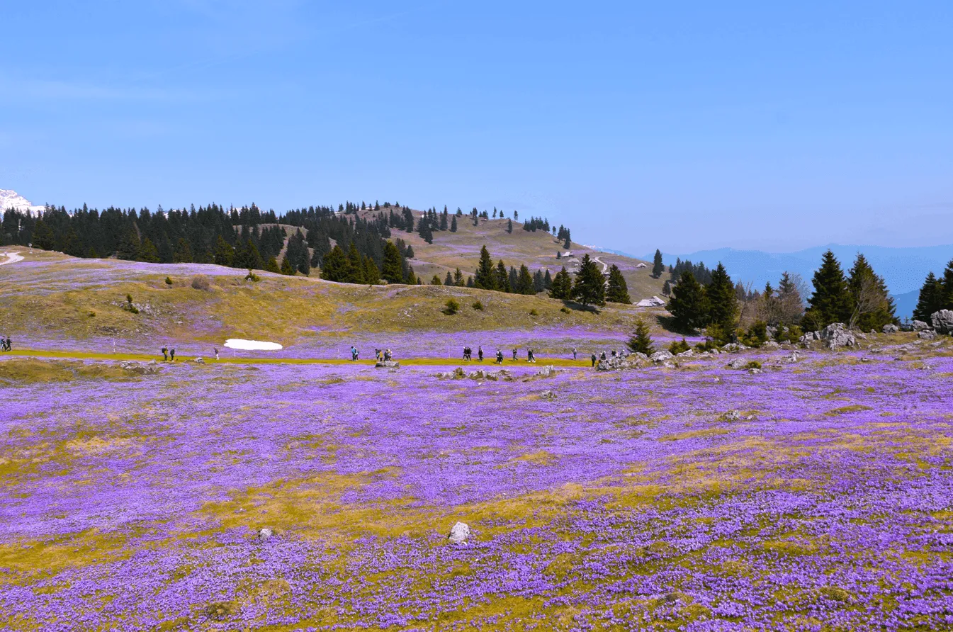 Okruh Velika Planina 6