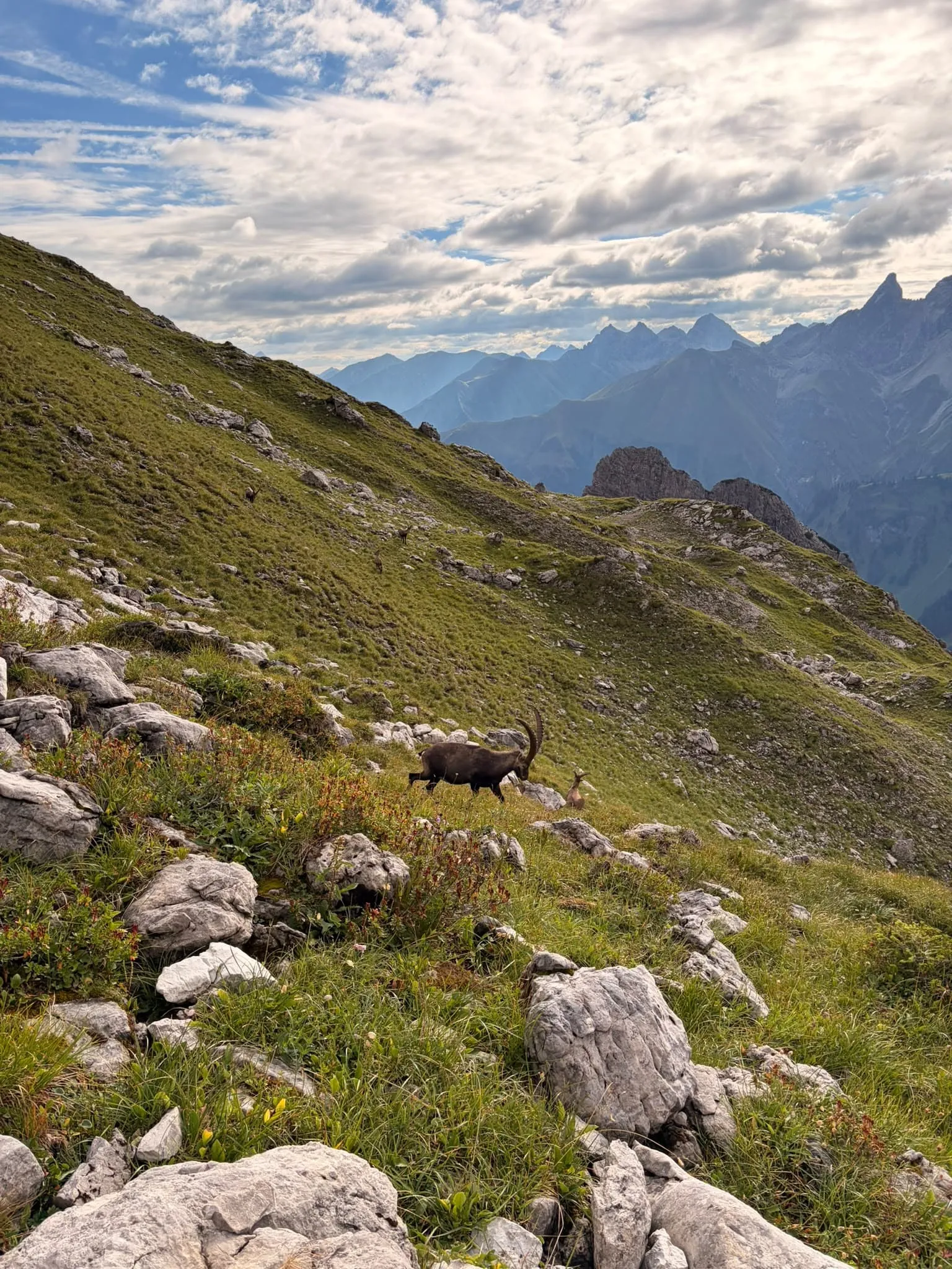 Kleinwalsertal-fottur 6