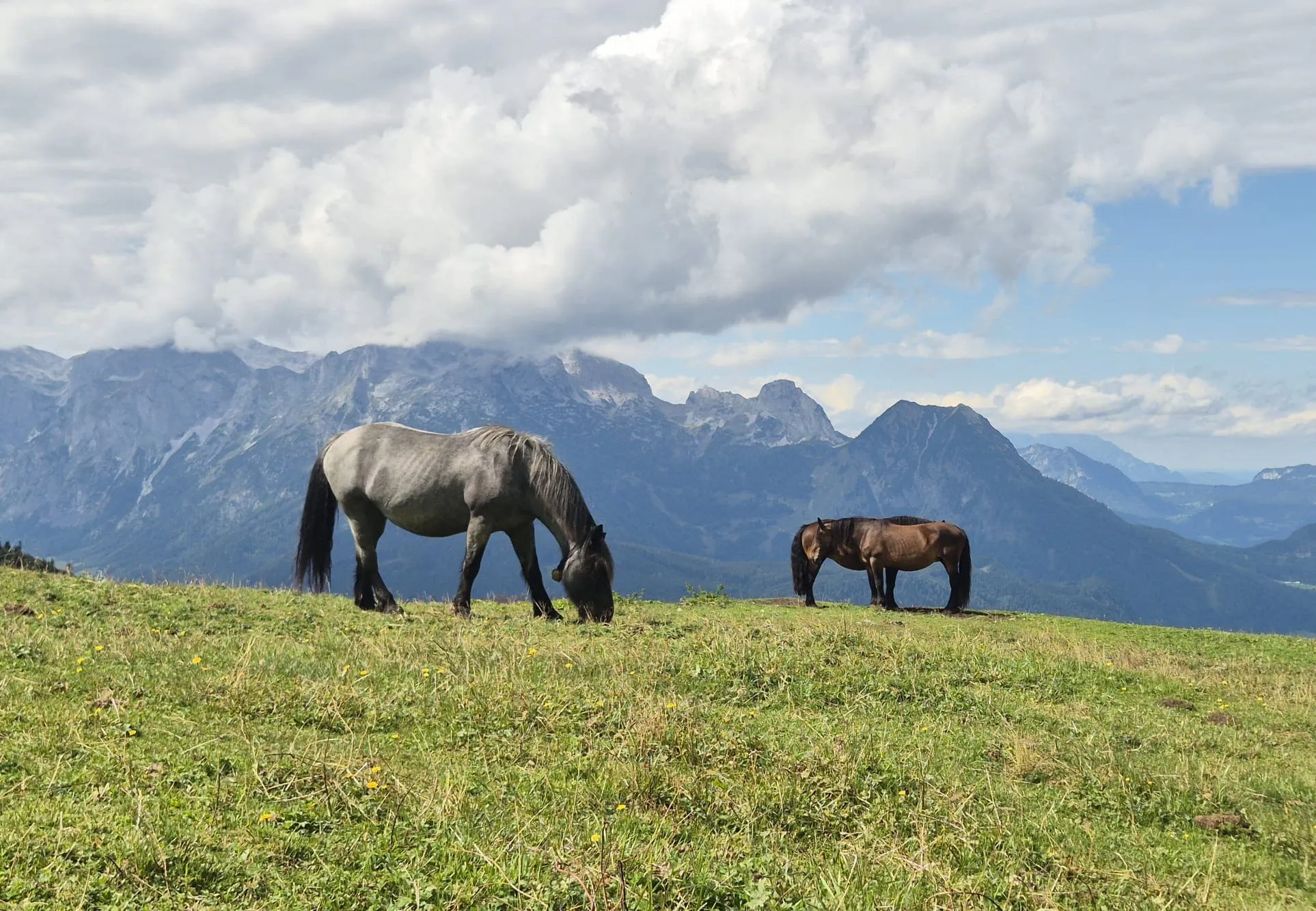 Sentiero Circolare Dachstein per Principianti 13