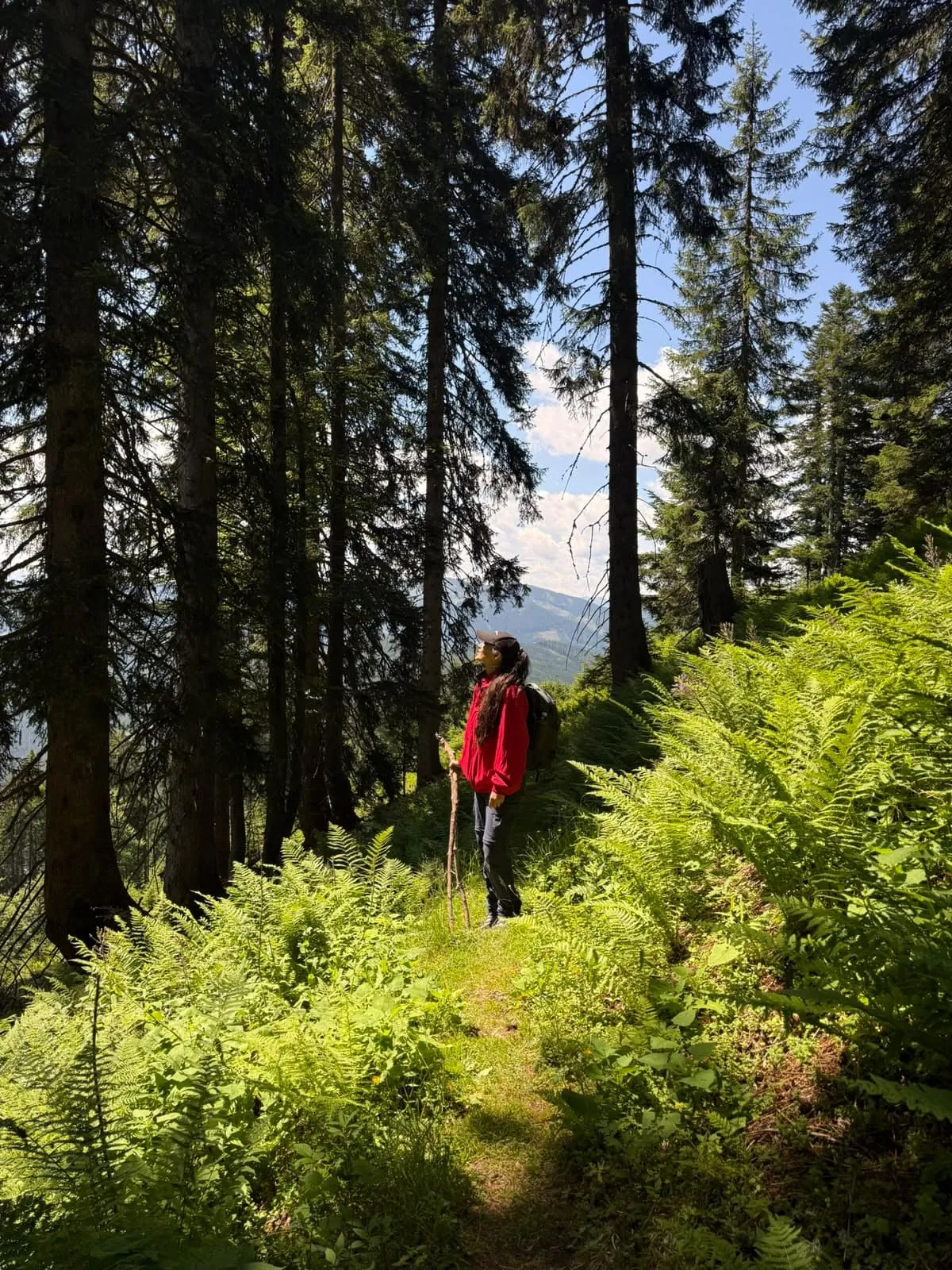 Sentiero Circolare Dachstein per Principianti 14