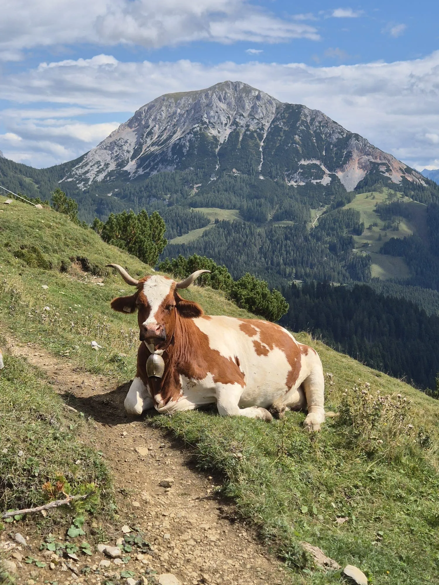 Sentiero Circolare Dachstein per Principianti 15